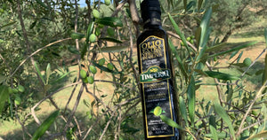 12 benefici dell'olio extravergine di oliva per la salute, secondo gli studi