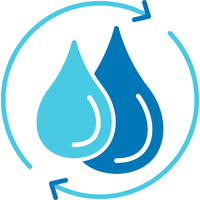 Best Garlic Infused Olive Oil